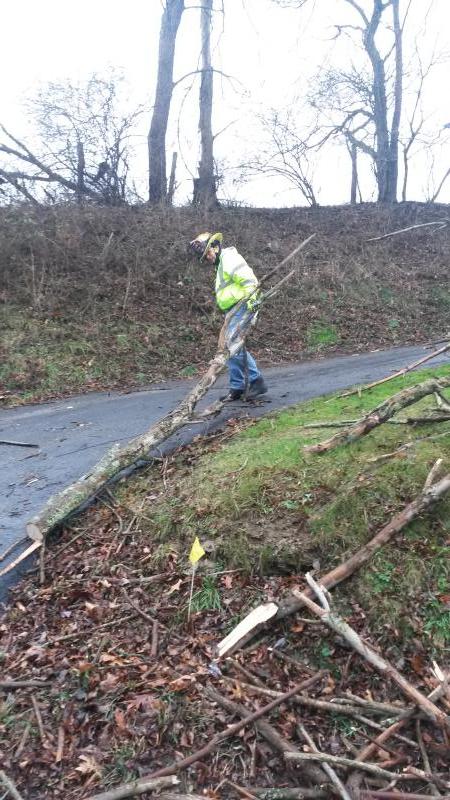 Tree Down, Franklin Road