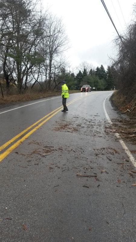 Tree Down, Franklin Road