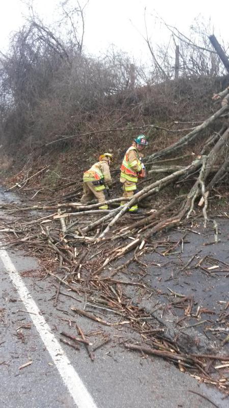 Tree Down, Franklin Road